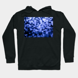 Group of jellyfish Hoodie